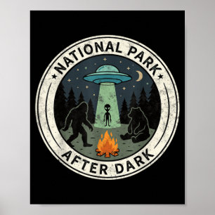 USA Nationalparks nachts Sasquatch Alien Bär Poster