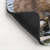 USA, Nebraska. Biber Mousepad (Ecke)