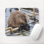 USA, Nebraska. Biber Mousepad (Mit Mouse)