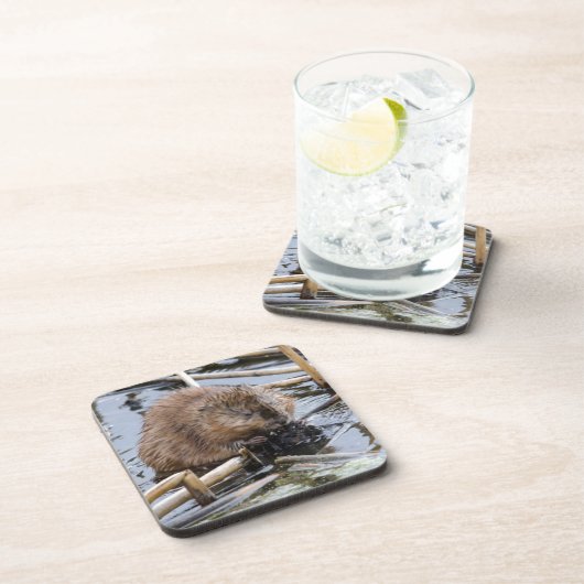 USA, Nebraska. Biber Untersetzer (Rechte Seite)