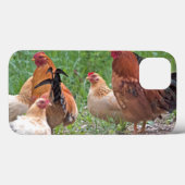 USA, Nebraska. Chickens Case-Mate iPhone Hülle (Rückseite (Horizontal))