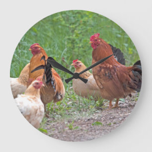 USA, Nebraska. Chickens Große Wanduhr