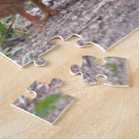 USA, Nebraska. Chickens Puzzle (Seite)