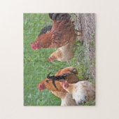 USA, Nebraska. Chickens Puzzle (Vertikal)