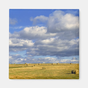 USA, Nebraska, Morrill County. Goldenes Heu Magnet