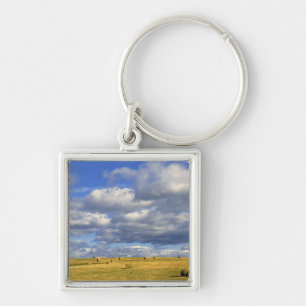 USA, Nebraska, Morrill County. Goldenes Heu Schlüsselanhänger