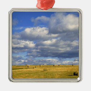 USA, Nebraska, Morrill Landkreis. Goldene Heue Silbernes Ornament