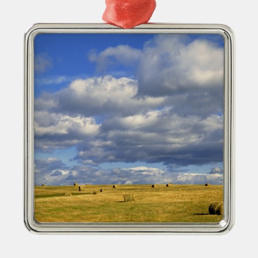 USA, Nebraska, Morrill Landkreis. Goldene Heue Silbernes Ornament (Vorne)