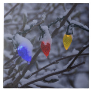 USA, Neu-England, Massachusetts, Lesung, 2 Fliese