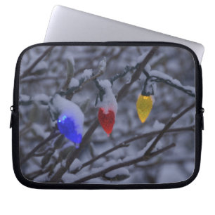 USA, Neu-England, Massachusetts, Lesung, 2 Laptopschutzhülle