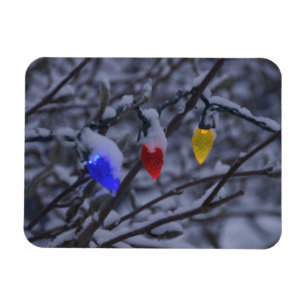 USA, Neu-England, Massachusetts, Lesung, 2 Magnet