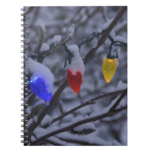 USA, Neu-England, Massachusetts, Lesung, 2 Notizblock