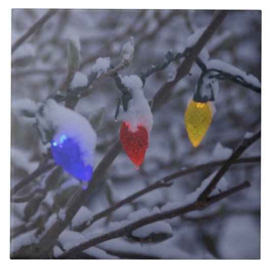 USA, Neuengland, Massachusetts, Reading, 2 Fliese (Vorderseite)