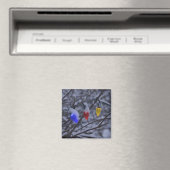 USA, Neuengland, Massachusetts, Reading, 2 Magnet (In Situ (Geschirrspüler))