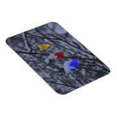 USA, Neuengland, Massachusetts, Reading, 2 Magnet (Rechte Seite)