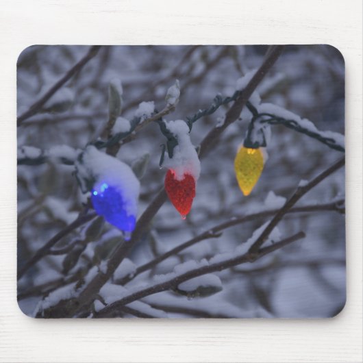 USA, Neuengland, Massachusetts, Reading, 2 Mousepad (Vorne)