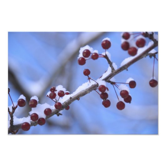 USA, Neuengland, Massachusetts, Reading, 3 Fotodruck (Vorne)