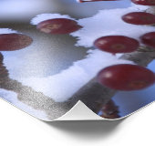 USA, Neuengland, Massachusetts, Reading, 3 Fotodruck (Ecke)