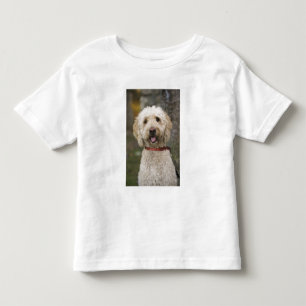 USA, Neuengland, Massachusetts, Reading, Kleinkind T-shirt