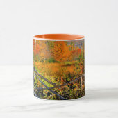 USA, Neuengland, New Hampshire, Chocorua Tasse (Zentrum)