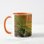 USA, Neuengland, New Hampshire, Chocorua Tasse (Links)