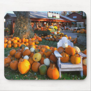 USA, New England, Maine, Wells. Herbstausstellung Mousepad