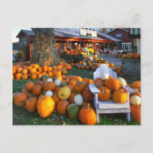 USA, New England, Maine, Wells. Herbstausstellung Postkarte