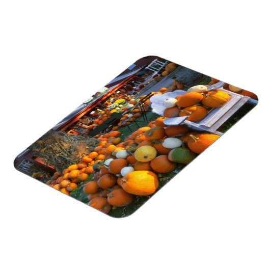 USA, New England, Maine, Wells. Herbstdarstellung Magnet (Linke Seite)