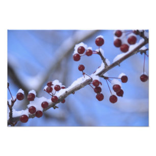 USA, New England, Massachusetts, Reading, 3 Fotodruck