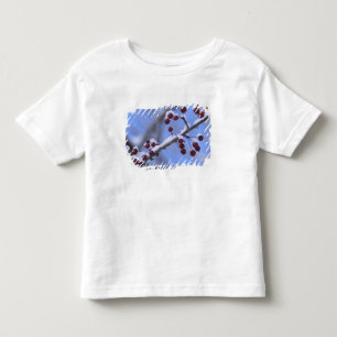 USA, New England, Massachusetts, Reading, 3 Kleinkind T-shirt