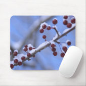 USA, New England, Massachusetts, Reading, 3 Mousepad (Mit Mouse)