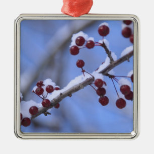 USA, New England, Massachusetts, Reading, 3 Ornament Aus Metall