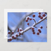 USA, New England, Massachusetts, Reading, 3 Postkarte (Vorne/Hinten)