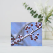 USA, New England, Massachusetts, Reading, 3 Postkarte (Stehend Vorderseite)