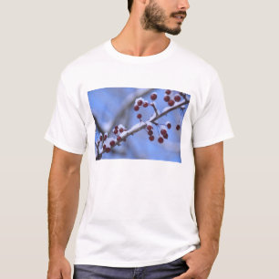 USA, New England, Massachusetts, Reading, 3 T-Shirt