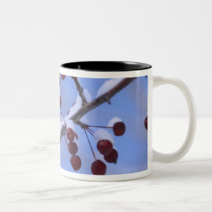 USA, New England, Massachusetts, Reading, 3 Zweifarbige Tasse