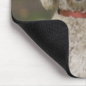 USA, New England, Massachusetts, Reading, Mousepad (Ecke)