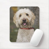 USA, New England, Massachusetts, Reading, Mousepad (Mit Mouse)