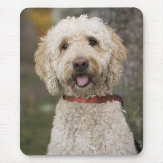 USA, New England, Massachusetts, Reading, Mousepad (Vorne)