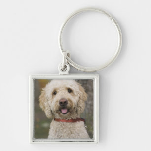 USA, New England, Massachusetts, Reading, Schlüsselanhänger