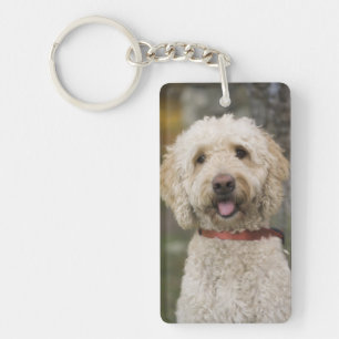 USA, New England, Massachusetts, Reading, Schlüsselanhänger