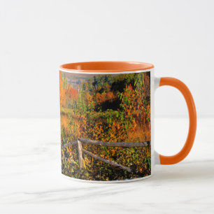 USA, New England, New Hampshire, Chocorua Tasse