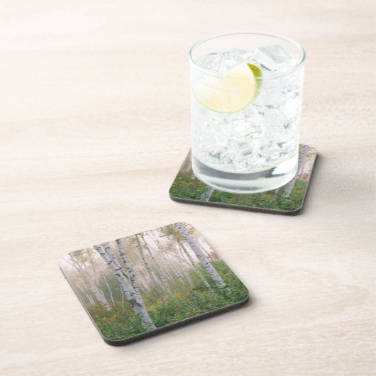 USA, New Hampshire. Birnen im Nebel Untersetzer (Rechte Seite)