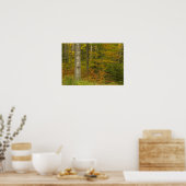 USA, New Hampshire, Livermore, White Mountain Poster (Küche)