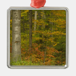 USA, New Hampshire, Livermore, White Mountain Silbernes Ornament