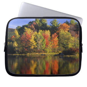 USA, New Hampshire, Moultonborough. Bäume in Laptopschutzhülle