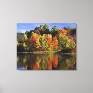 USA, New Hampshire, Moultonborough. Bäume in Leinwanddruck