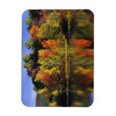 USA, New Hampshire, Moultonborough. Bäume in Magnet (Vertikal)