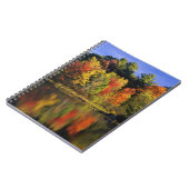 USA, New Hampshire, Moultonborough. Bäume in Notizblock (Linke Seite)