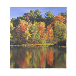 USA, New Hampshire, Moultonborough. Bäume in Notizblock